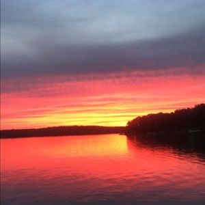 Meet your Posher, Jake